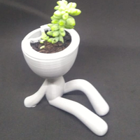 Small Self-watering  Succulent Planter - seated 3D Printing 306477