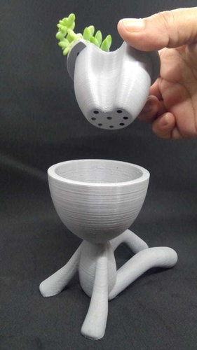 Self-watering  Succulent Planter - seated 3D Print 306478