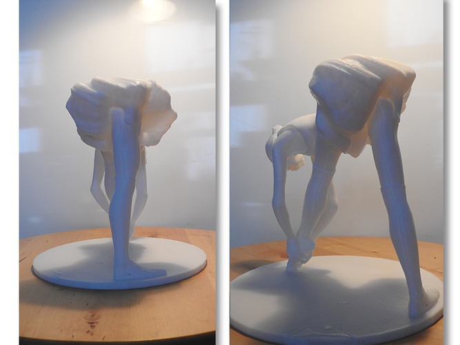 Ballet Dancer 3D Print 306491