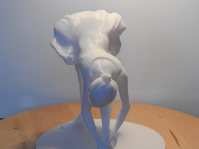 Ballet Dancer 3D Print 306492