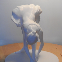 Ballet Dancer - Thumbnail 4