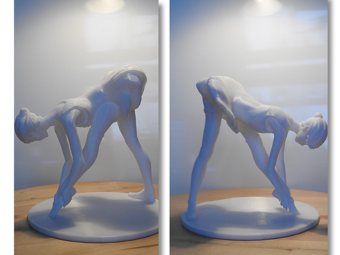 Ballet Dancer 3D Print 306495
