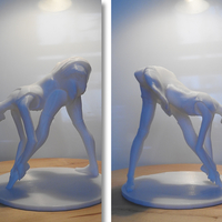 Ballet Dancer - Thumbnail 5