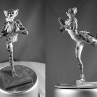 Preying Cat - Thumbnail 1