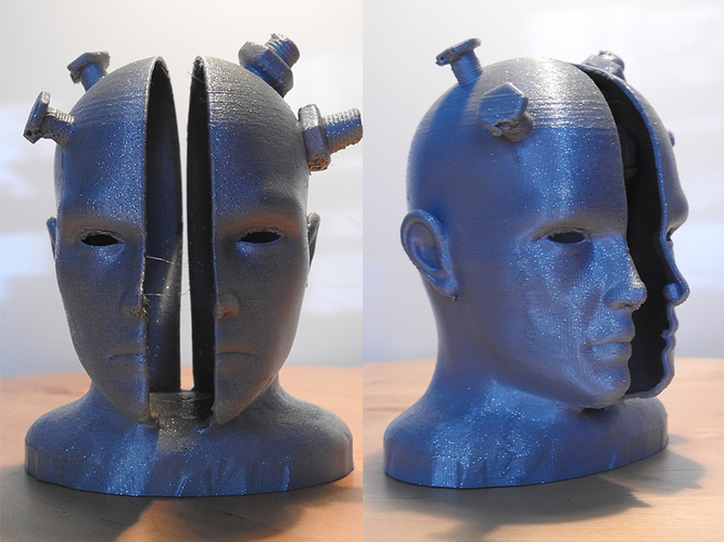 HeadCase 3D Print 306584