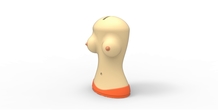 Image 306719