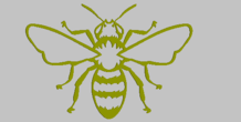Image 306733