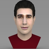 Small Ross Geller from Friends bust ready for full color 3D printing 3D Printing 306753