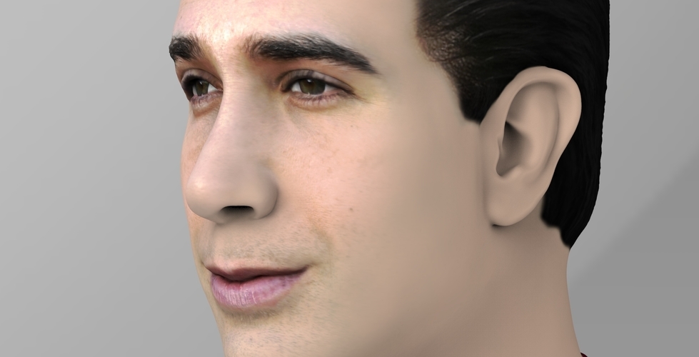 Ross Geller from Friends bust ready for full color 3D printing 3D Print 306765