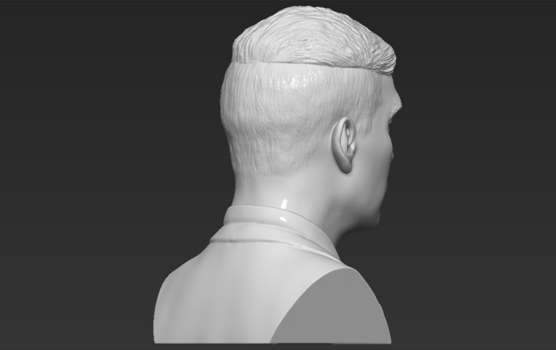 Tommy Shelby from Peaky Blinders bust 3D printing ready stl obj 3D Print 306786