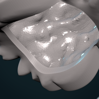 Wolf Head V - Thumbnail 13