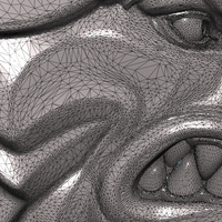 Wolf Head V - Thumbnail 14