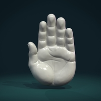 Small Palm Hand 3D Printing 307994