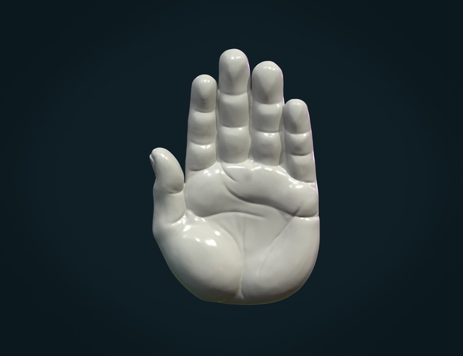 Palm Hand 3D Print 307995