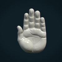 Palm Hand - Thumbnail 2