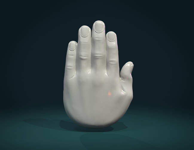 Palm Hand 3D Print 307996