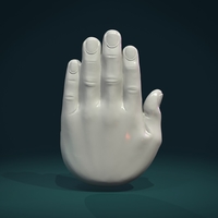 Palm Hand - Thumbnail 3