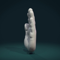 Palm Hand - Thumbnail 5