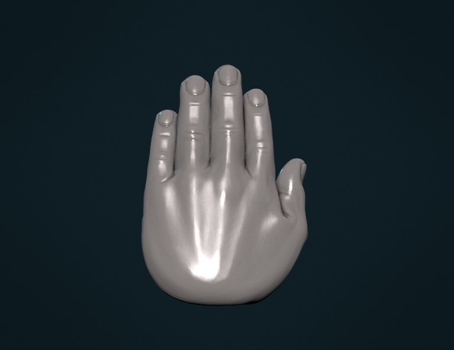 Palm Hand 3D Print 308003
