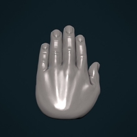 Palm Hand - Thumbnail 10