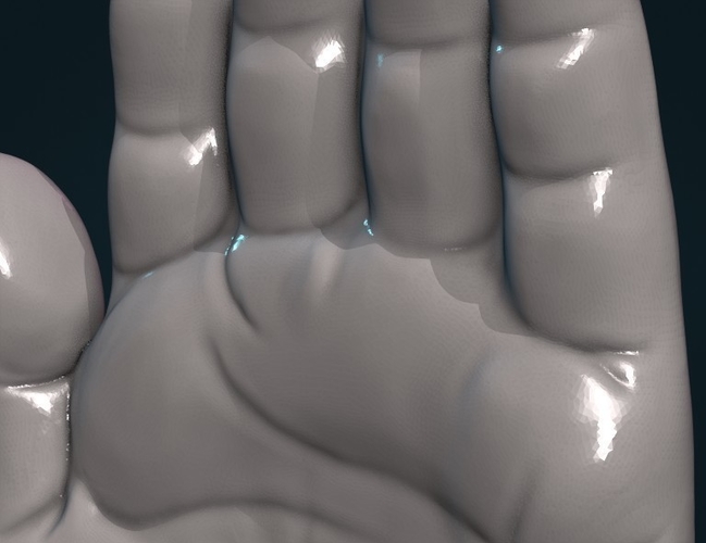 Palm Hand 3D Print 308008