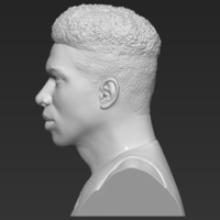 Giannis Antetokounmpo bust 3D printing ready stl obj formats - Thumbnail 4