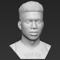 Giannis Antetokounmpo bust 3D printing ready stl obj formats - Thumbnail 10