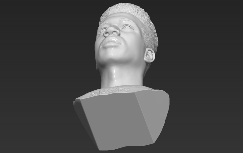 Giannis Antetokounmpo bust 3D printing ready stl obj formats 3D Print 308790