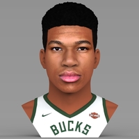 Small Giannis Antetokounmpo bust ready for full color 3D printing 3D Printing 308804