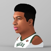 Giannis Antetokounmpo bust ready for full color 3D printing - Thumbnail 3