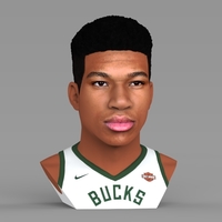 Giannis Antetokounmpo bust ready for full color 3D printing - Thumbnail 8