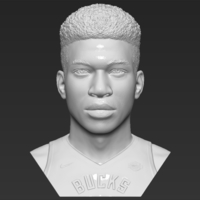 Giannis Antetokounmpo bust ready for full color 3D printing - Thumbnail 12