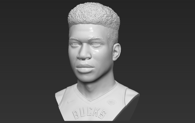 Giannis Antetokounmpo bust ready for full color 3D printing 3D Print 308820