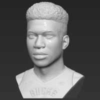Giannis Antetokounmpo bust ready for full color 3D printing - Thumbnail 13