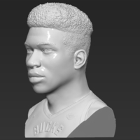Giannis Antetokounmpo bust ready for full color 3D printing - Thumbnail 14