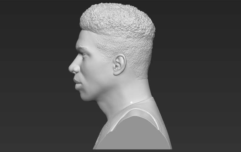Giannis Antetokounmpo bust ready for full color 3D printing 3D Print 308822