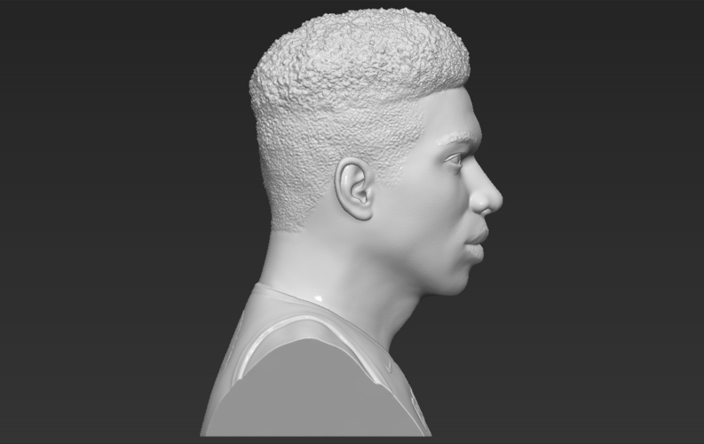 Giannis Antetokounmpo bust ready for full color 3D printing 3D Print 308826