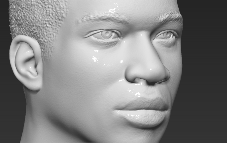 Giannis Antetokounmpo bust ready for full color 3D printing 3D Print 308828