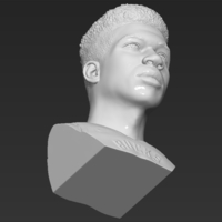 Giannis Antetokounmpo bust ready for full color 3D printing - Thumbnail 22