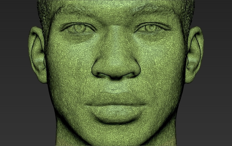 Giannis Antetokounmpo bust ready for full color 3D printing 3D Print 308831