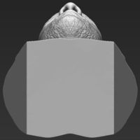 Tim Duncan bust 3D printing ready stl obj formats - Thumbnail 18