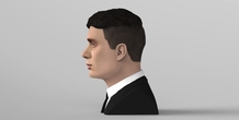 Image 309001