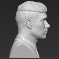 Tommy Shelby from Peaky Blinders bust for full color 3D printing - Thumbnail 19