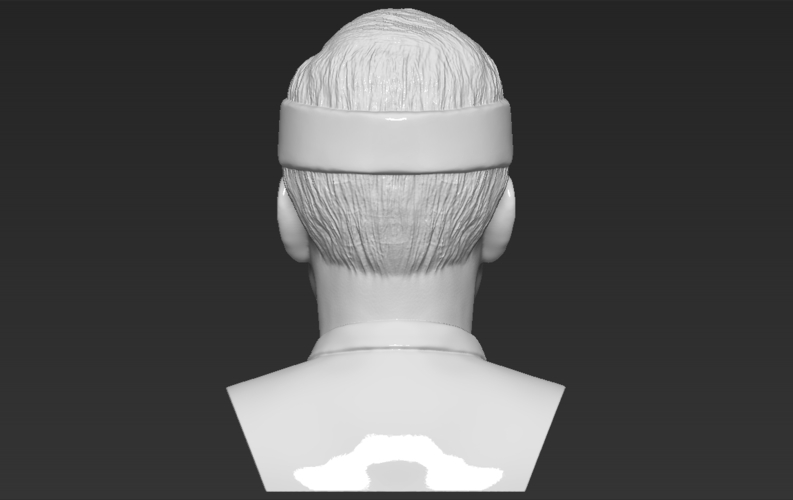 Roger Federer bust 3D printing ready stl obj formats 3D Print 309114