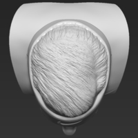 Roger Federer bust 3D printing ready stl obj formats - Thumbnail 14