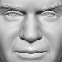 Roger Federer bust 3D printing ready stl obj formats - Thumbnail 15