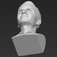 Roger Federer bust 3D printing ready stl obj formats - Thumbnail 21