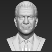 Small Mel Gibson bust 3D printing ready stl obj formats 3D Printing 309225