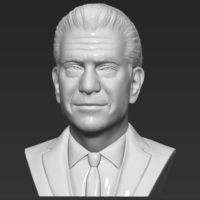 Mel Gibson bust 3D printing ready stl obj formats - Thumbnail 2