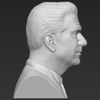 Mel Gibson bust 3D printing ready stl obj formats - Thumbnail 8